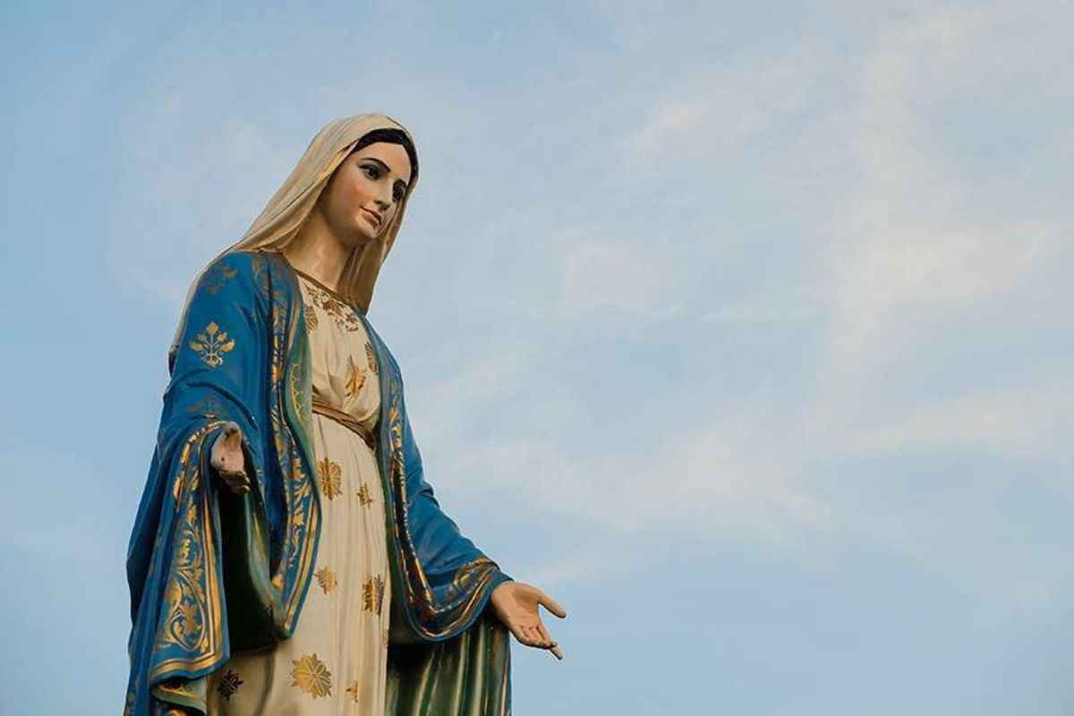 Watch As Focus Consecrates Its Ministry To Jesus Through Mary Angelus News Multimedia