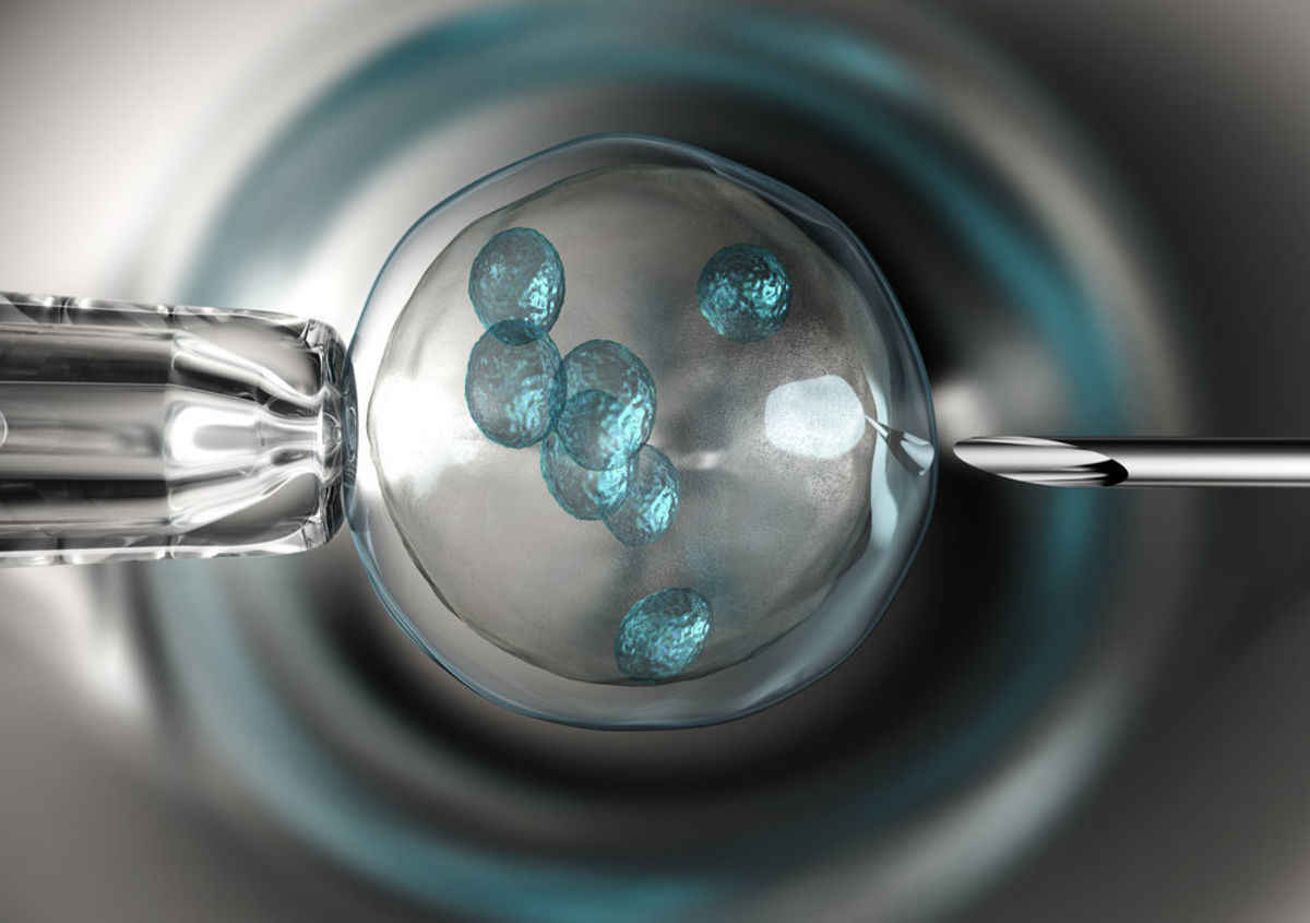 What Catholics need to know about IVF - Angelus News - Multimedia ...