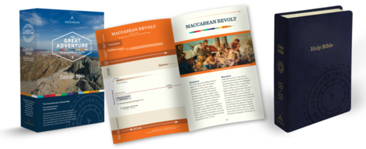 New Bible aims to bridge the Catholic ‘scripture gap’ - Angelus News - Multi...