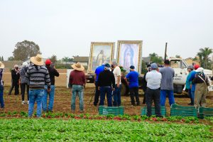 Farmworkers pray before the images of Our Lady of Guadalupe and St. Juan Diego, at the first stop on their 2020 pilgrimage through the Archdiocese of Los Angeles. (David Amador Rivera/Angelus News)