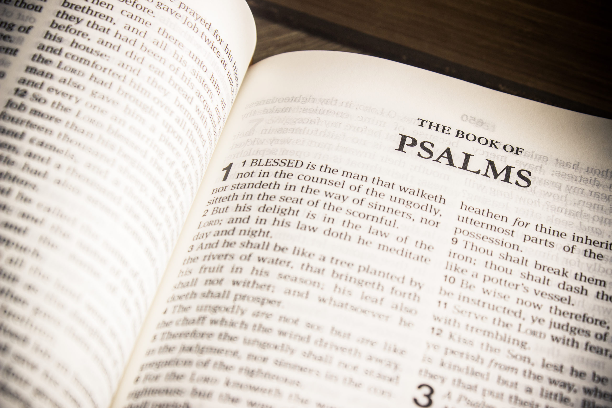 The Psalms: The Church’s Song Book