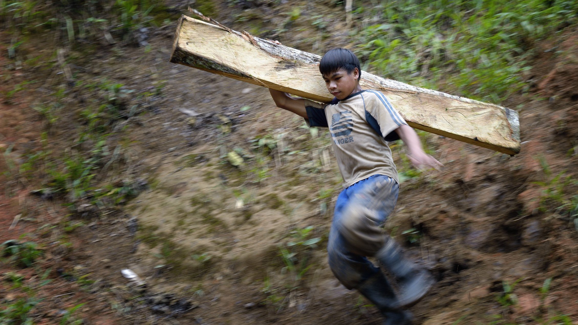 Poverty driving children into forced labor must be tackled, pope says