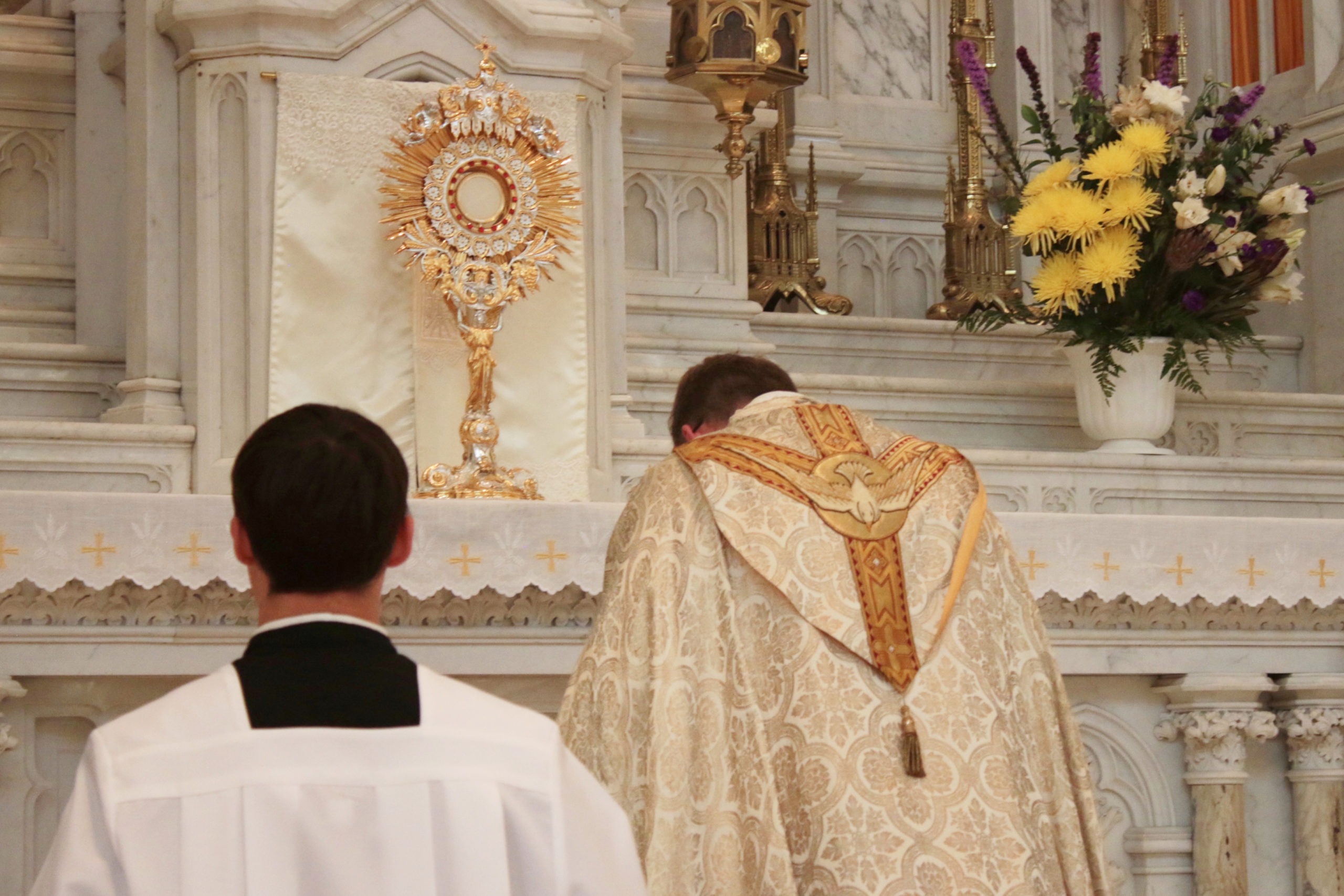 Eucharistic Revival team releases playbook on how to ‘enkindle a ...