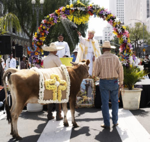 Archbishop José H. Gomez sprinkles holy water on a cow brought by its owner to Olvera Street in downtown LA for the annual “Blessing of the Animals” on Holy Saturday. (Victor Alemán)