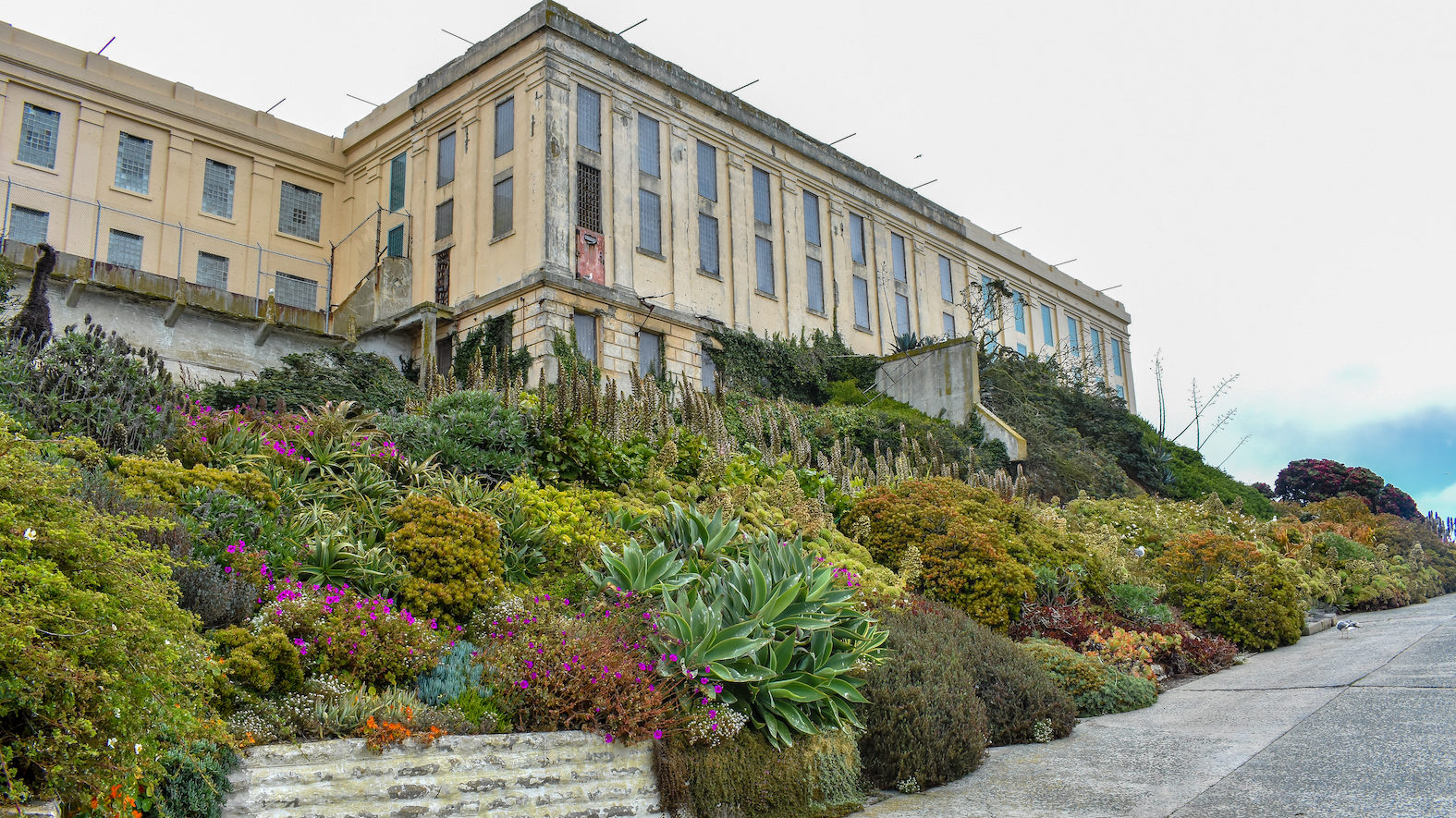 The Rocks Softer Side The Gardens At Alcatraz