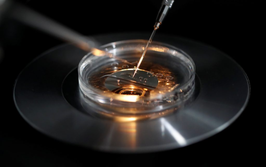 The ugly scientific truth behind IVF