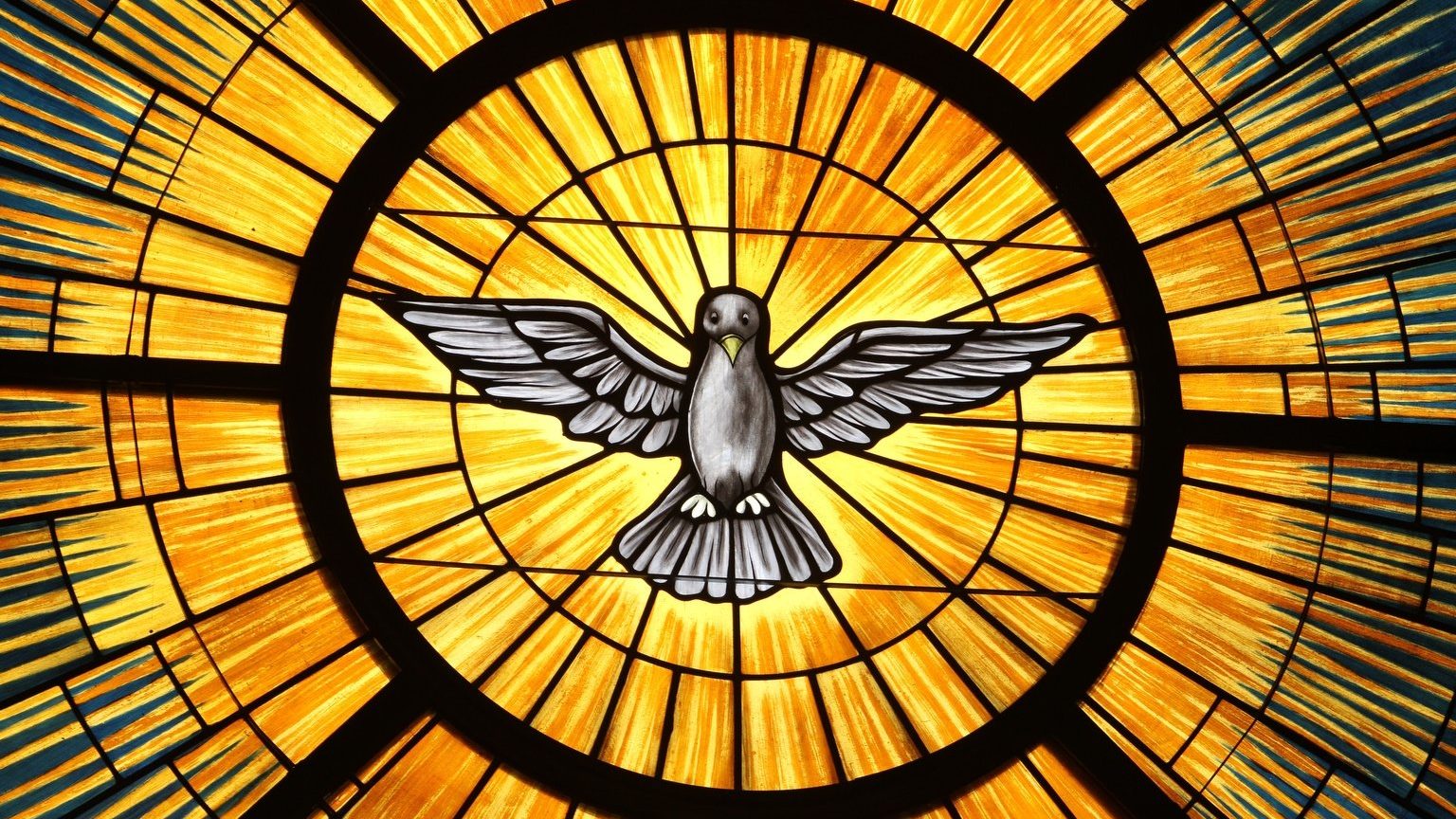 Robert Brennan: Holy Spirit gifts could heal our world