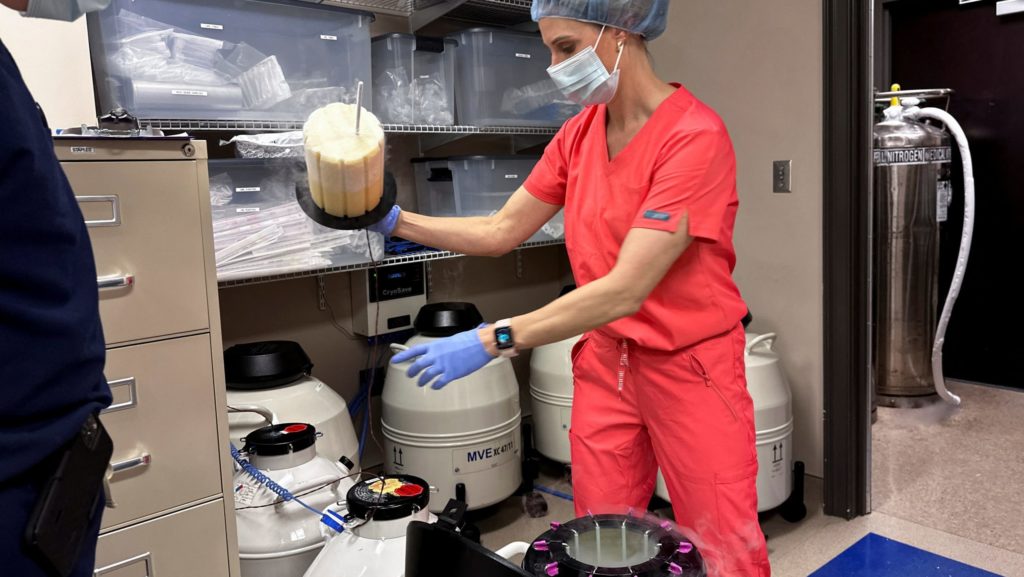 Catholic groups oppose IVF coverage rule, push for fertility alternative