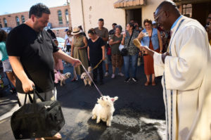 Father Chidi Ekpendu, pastor at St. Francis of Assisi Church in Silver Lake, celebrates the parish patron’s feast day with a special “Blessing of the Animals” after a special Mass and parish potluck on Oct. 4. (John Geronilla)